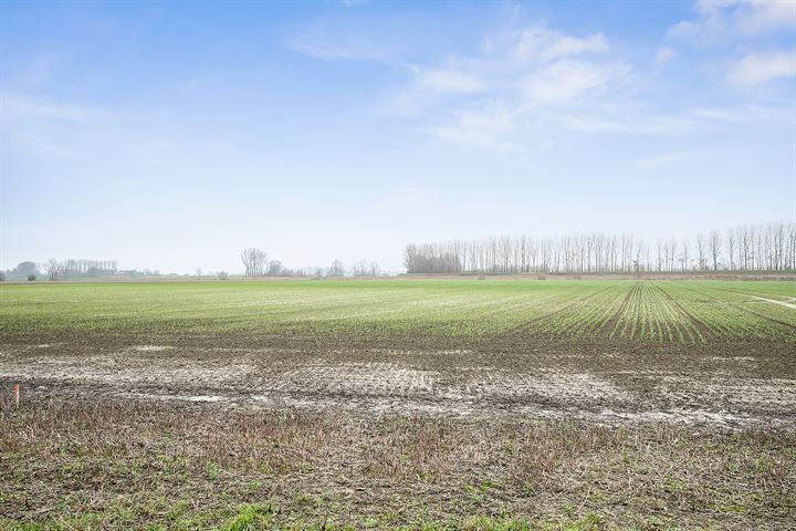 Bekijk foto 36 van Graaf Jansdijk 32