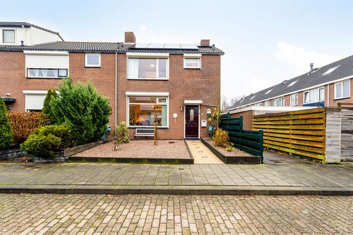 Bekijk foto 1 van Swammerdamstraat 1