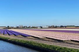 Bekijk foto 42 van Hoogduinweg 38