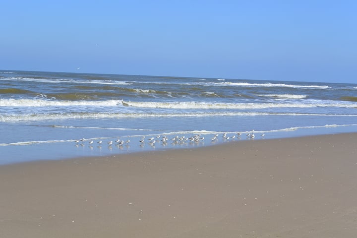 Bekijk foto 48 van Hoogduinweg 38