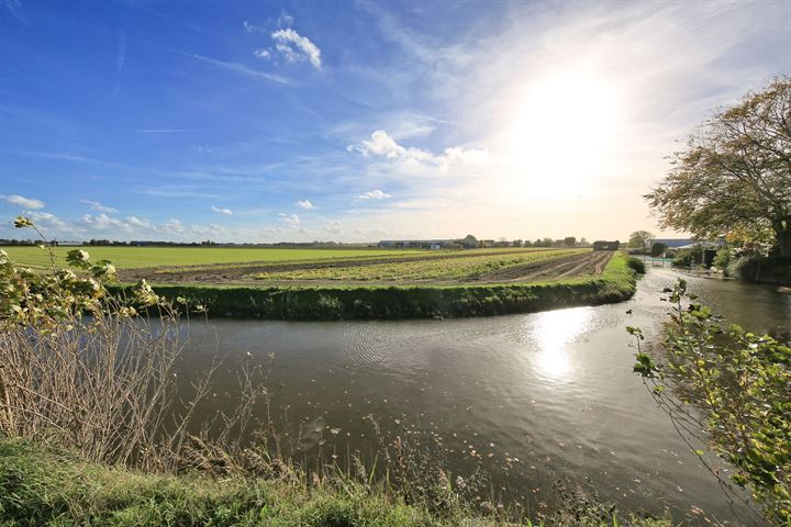 Bekijk foto 49 van Hoogduinweg 38