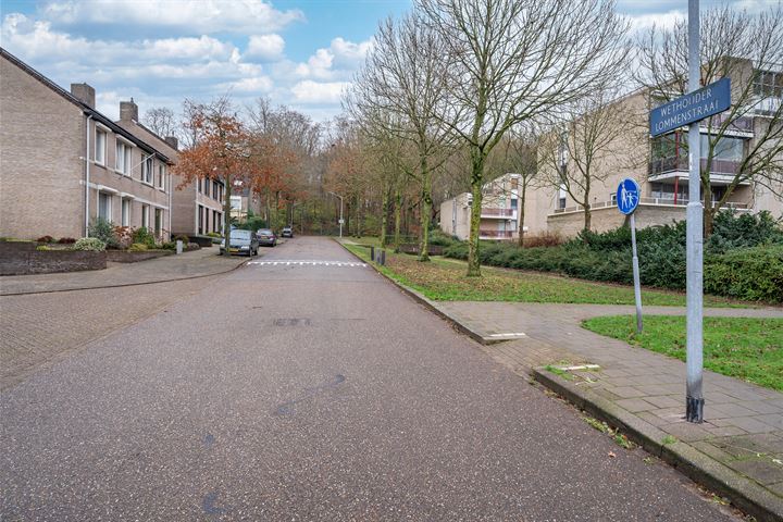 View photo 54 of Wethouder Lommenstraat 14