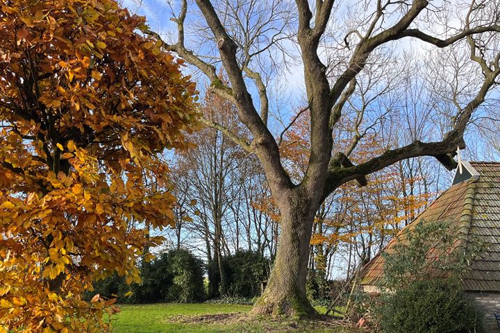 Bekijk foto 32 van Kerkeweg 26