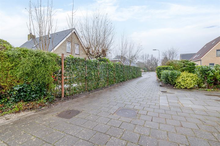 Bekijk foto 43 van Blomikkers 13