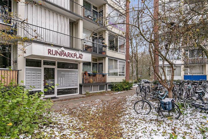 Bekijk foto 5 van Rijnbeekstraat 244