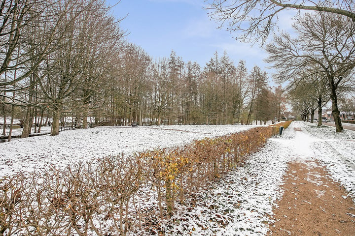 Bekijk foto 22 van Rijnbeekstraat 244