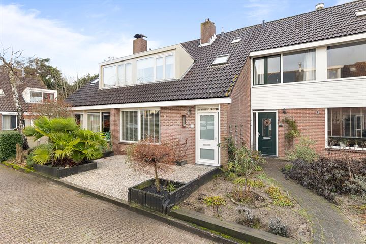 Bekijk foto 3 van Loudonstraat 30