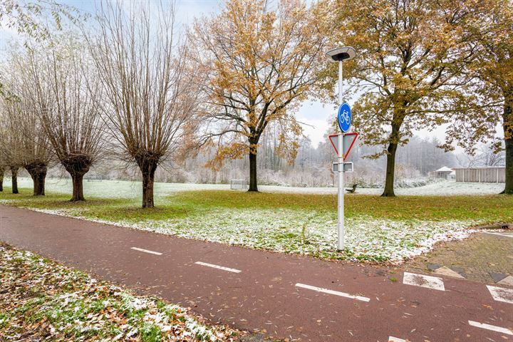 Bekijk foto 33 van Willy Albertistraat 24