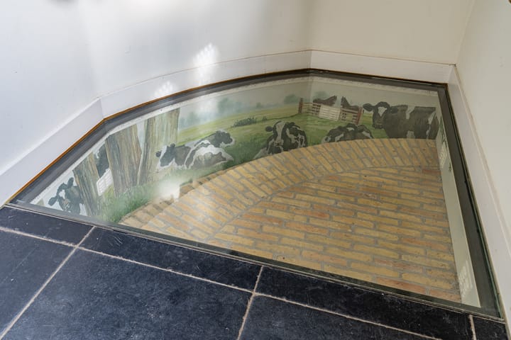 Foto 10 van Van Sminiaweg 9