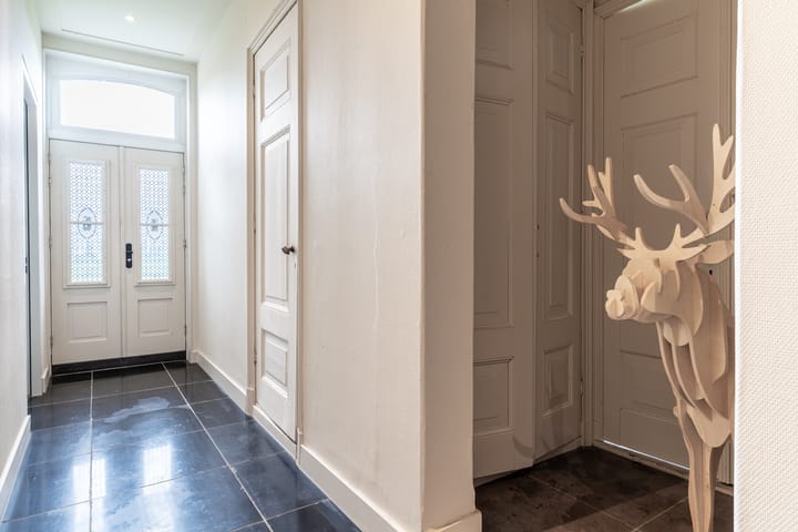 Foto 39 van Van Sminiaweg 9