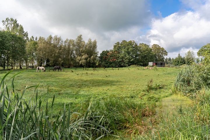 Bekijk foto 90 van Van Sminiaweg 9