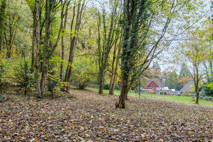 Bekijk foto 45 van Nieuwe Holleweg 16