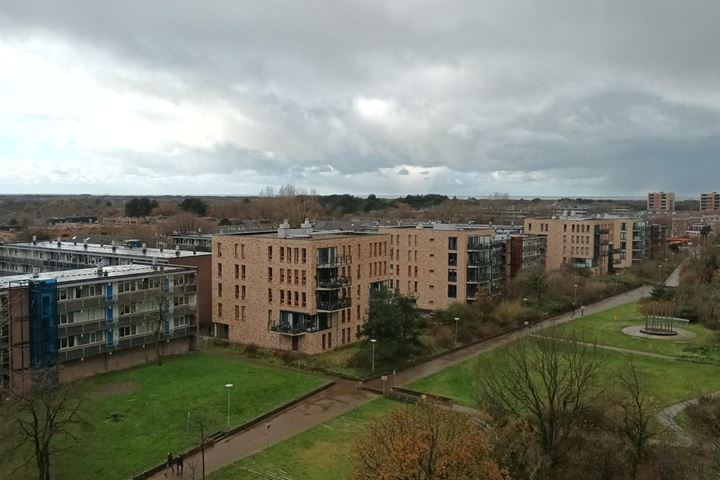 Bekijk foto 19 van Zeewijkplein 144