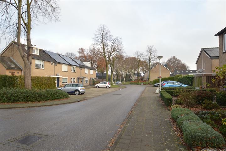 Bekijk foto 18 van Niers 26