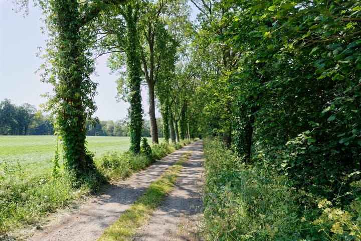 Foto 12 van Bruggemansweg 2