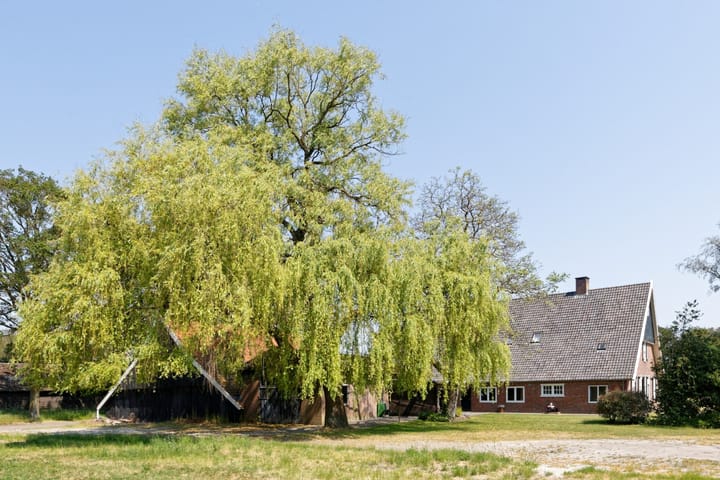 Foto 11 van Bruggemansweg 2