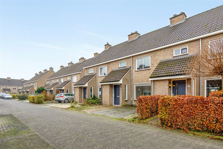 Bekijk foto 3 van Straussstraat 15