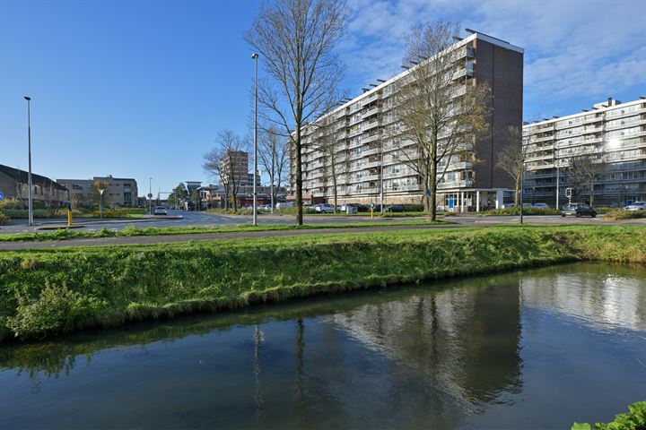 Bekijk foto 27 van Pelikaanhof 32