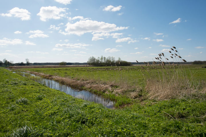 Bekijk foto 71 van Dalweg 19