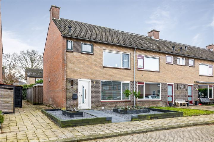 Bekijk foto 1 van Groen van Prinstererstraat 41