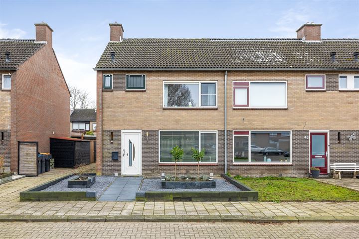 Bekijk foto 2 van Groen van Prinstererstraat 41