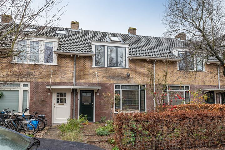 Bekijk foto 1 van Theemsstraat 17