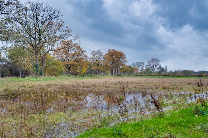 Bekijk foto 3 van Molbergsteeg 1