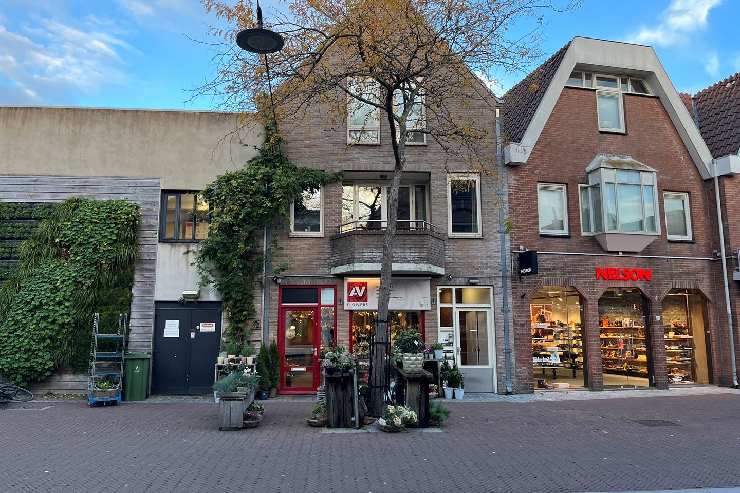 Bekijk foto 1 van Rijnstraat 59-C