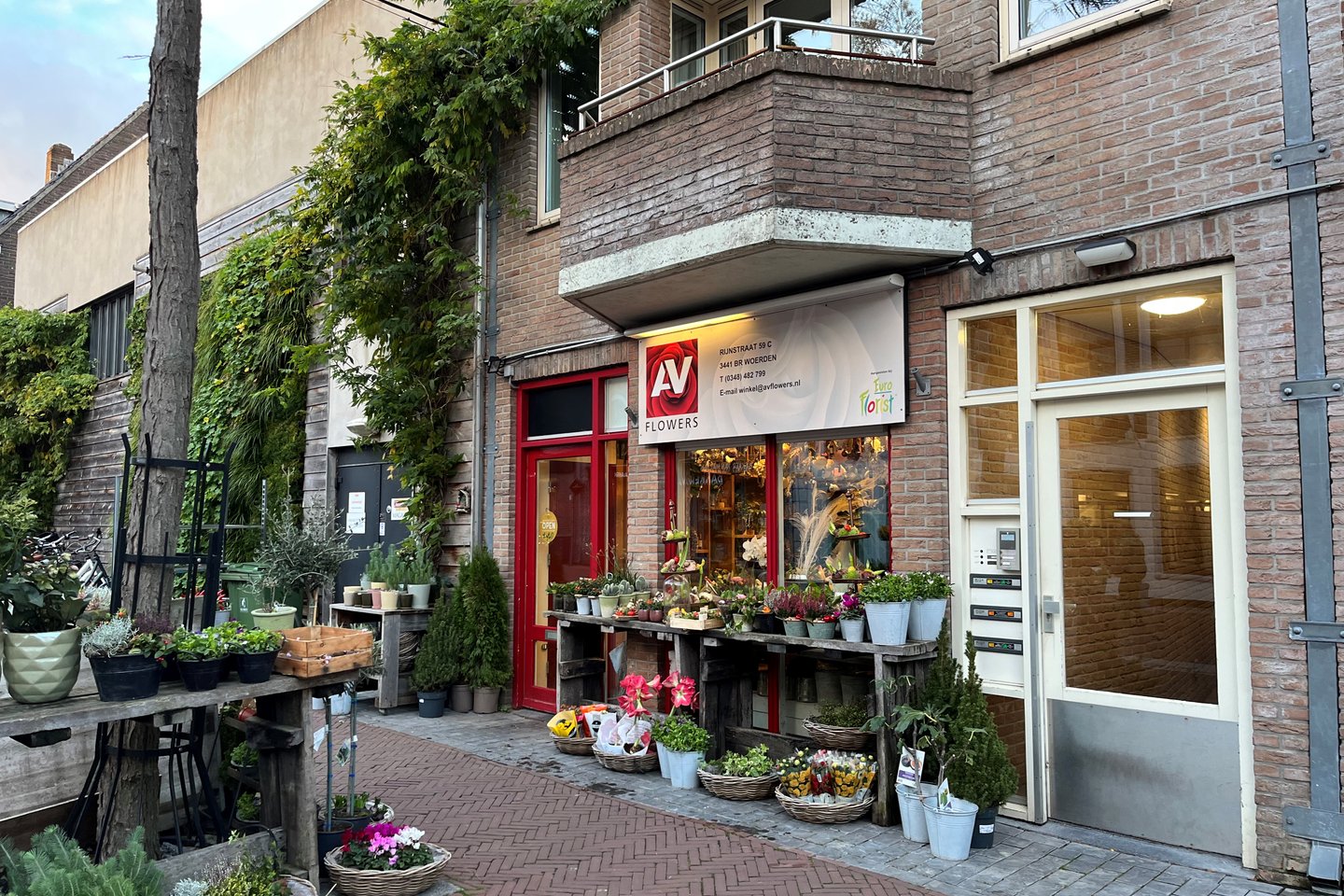 Bekijk foto 2 van Rijnstraat 59-C