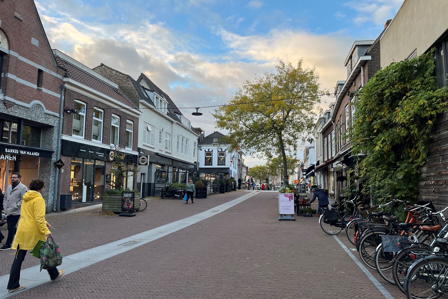 Bekijk foto 5 van Rijnstraat 59-C