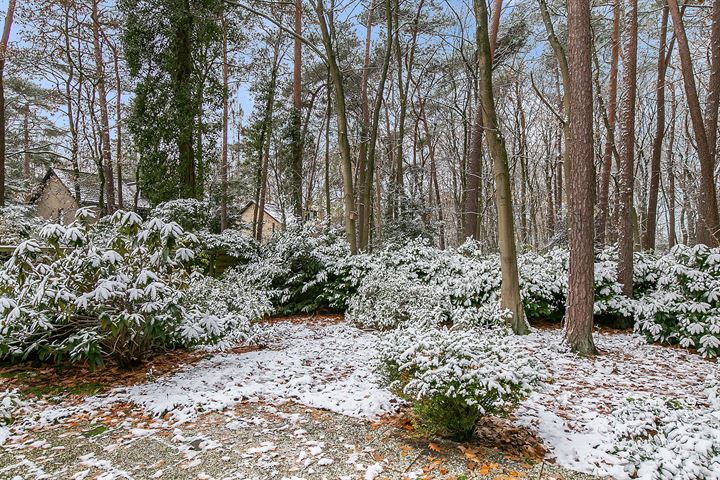 Bekijk foto 30 van Berkenoord 58