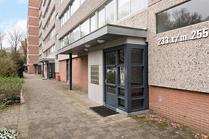 Bekijk foto 3 van Beethovenlaan 247