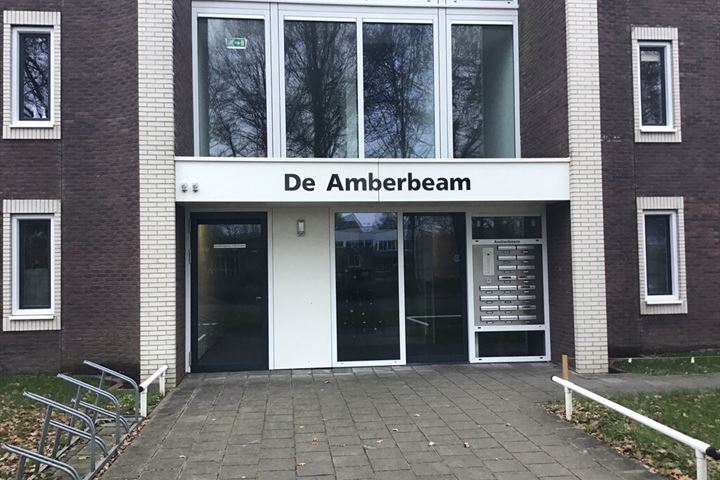 Bekijk foto 1 van De Amberbeam 20