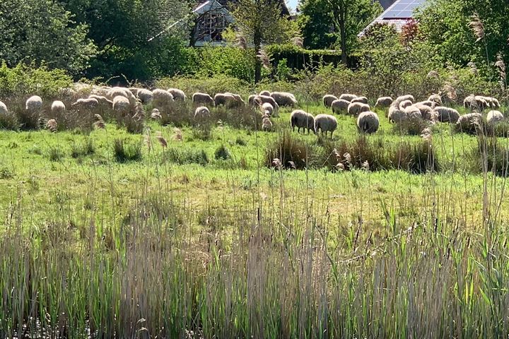 Bekijk foto 45 van Gansmesschen 25