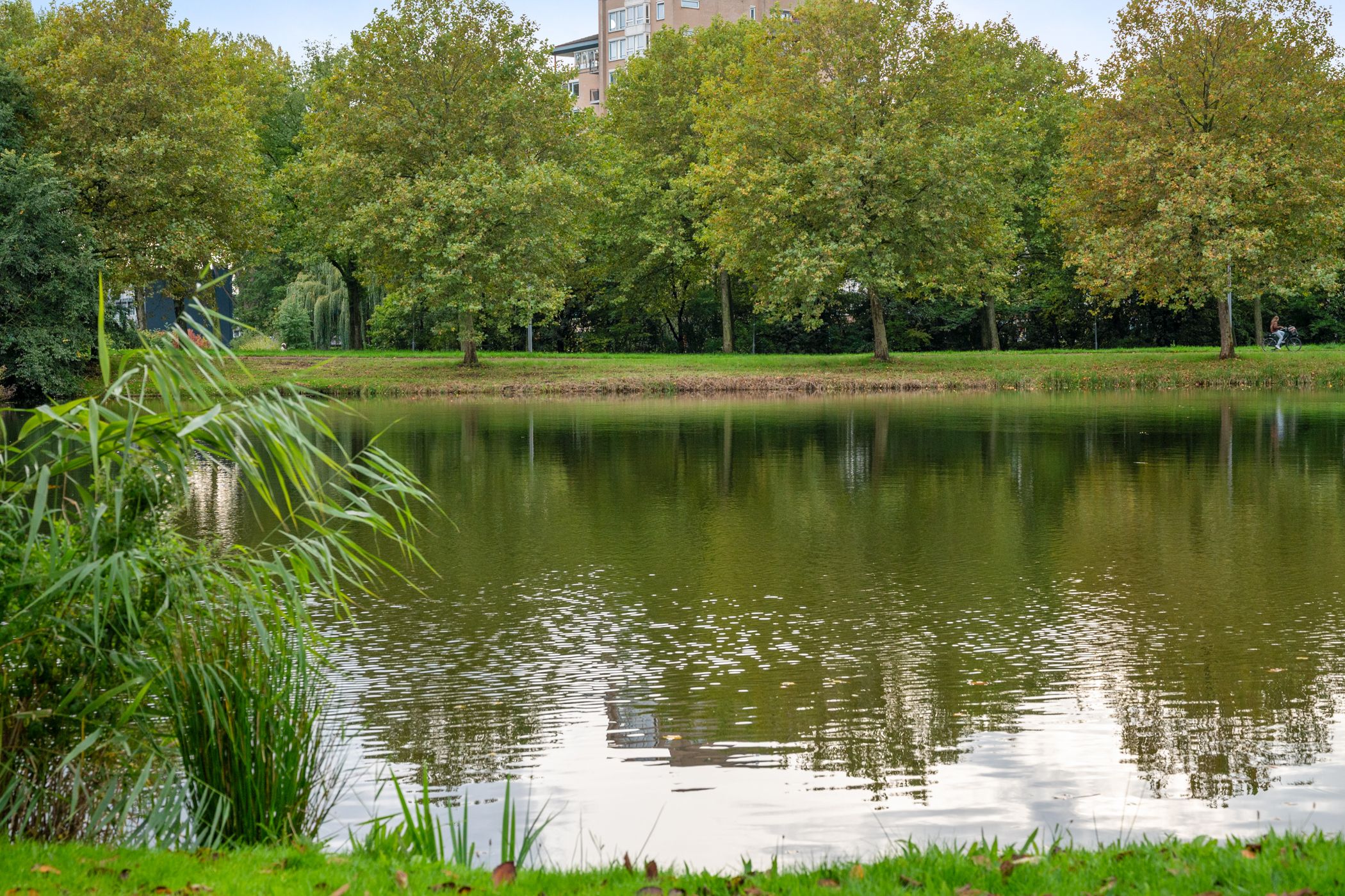 Foto 24 van Lamsrustlaan 22