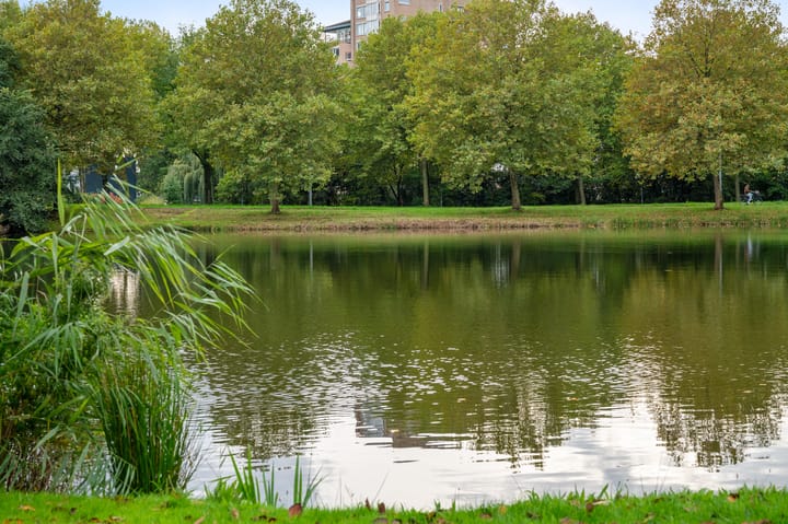 Foto 24 van Lamsrustlaan 22