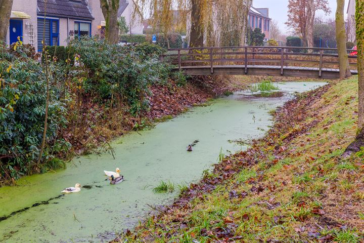 Bekijk foto 48 van De Tienden 4