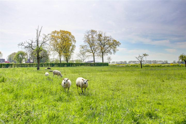 Bekijk foto 45 van Smalzijde 24