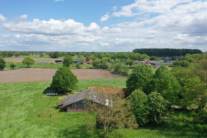 Foto 8 van Entelerweg 1