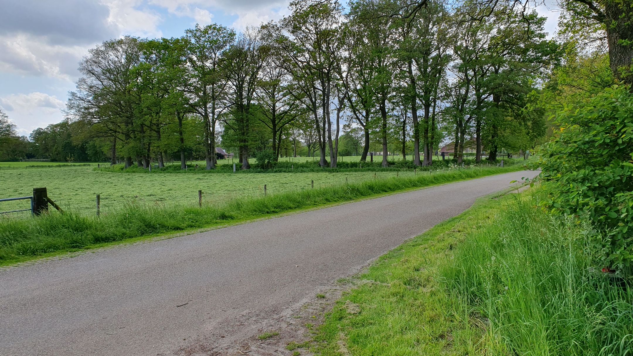 Foto 24 van Entelerweg 1