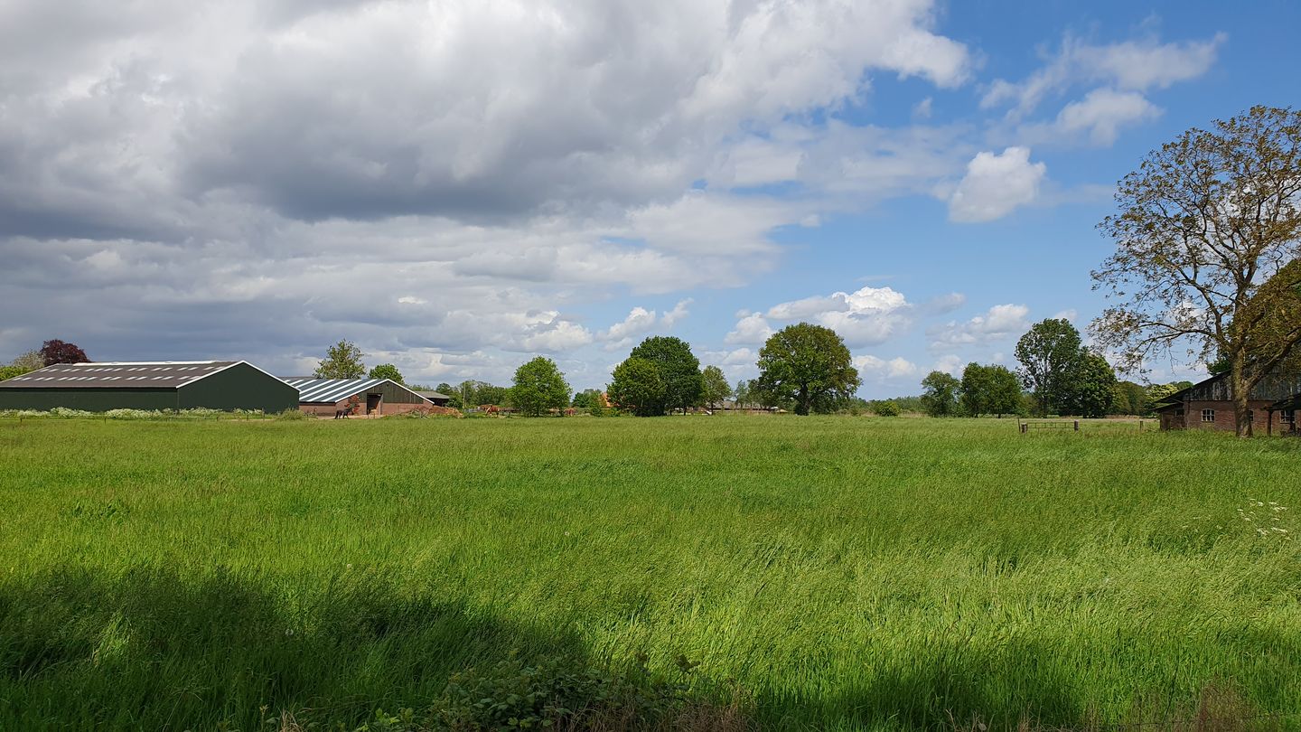 Foto 25 van Entelerweg 1