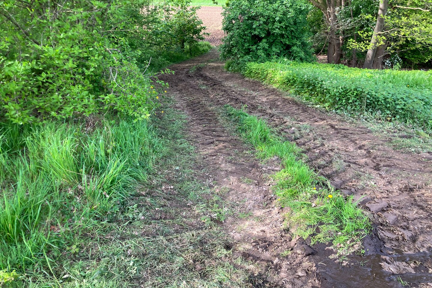 Bekijk foto 4 van panheelderweg