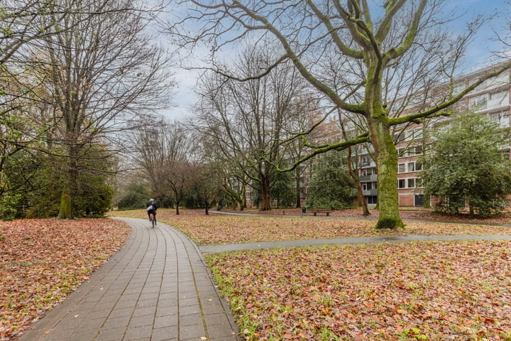 Bekijk foto 33 van Professor de Moorplein 559