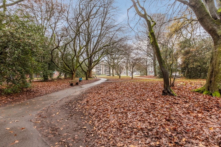 Bekijk foto 35 van Professor de Moorplein 559