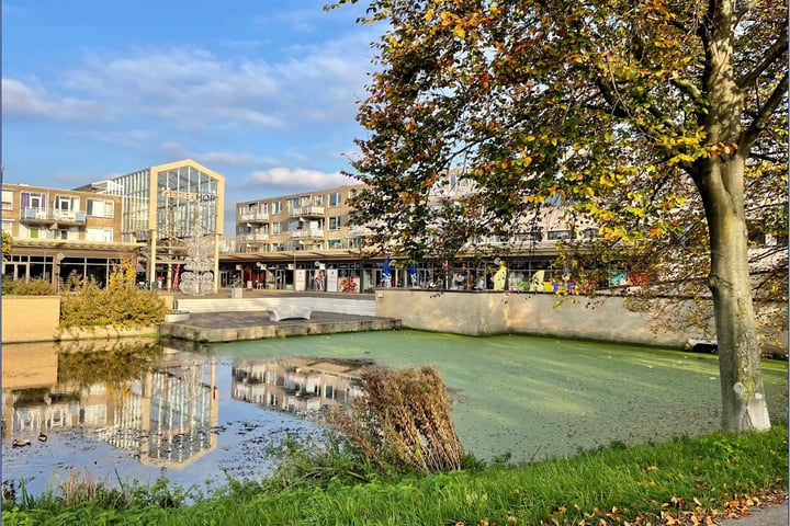 Bekijk foto 32 van Sweelinckplein 126