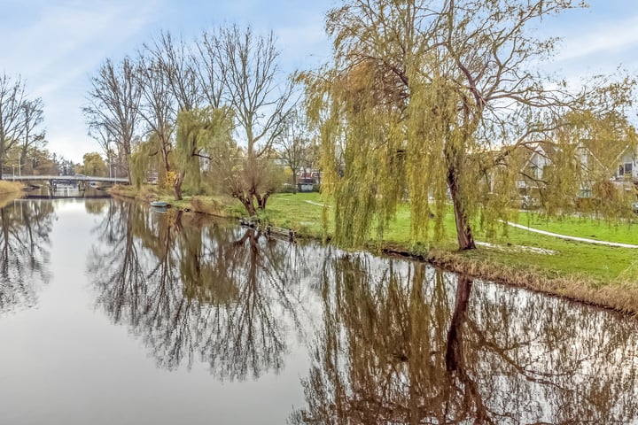 Bekijk foto 44 van Taxusstraat 4