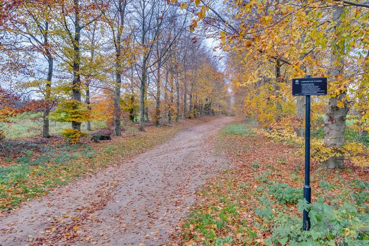 Bekijk foto 37 van Achterweg 2