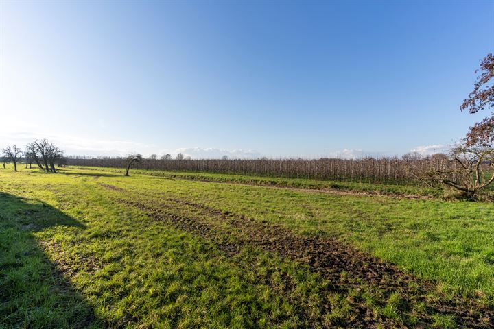 Bekijk foto 44 van Waalseweg 75