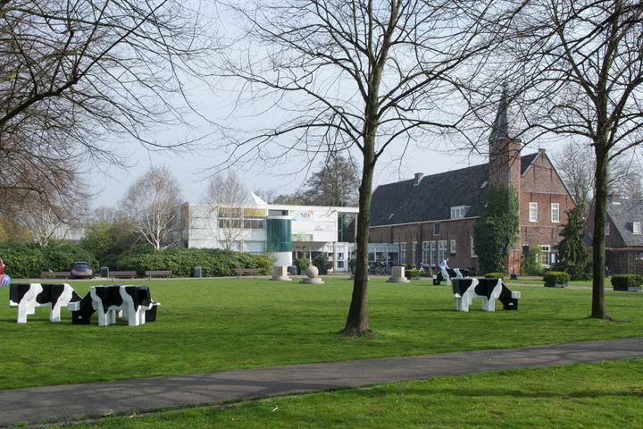 Bekijk foto 23 van Meester Cornelisstraat 39-II