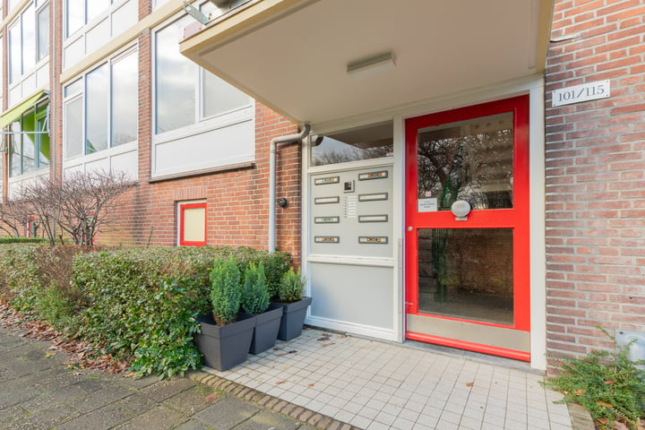 Bekijk foto 4 van Verdistraat 113